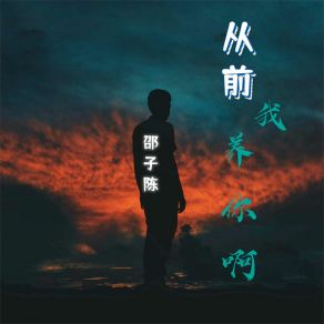 Download track 从前，我养你啊 邵子陈