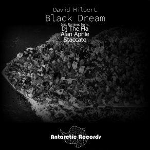 Download track Black Dream (Wsm Remix) David Hilbert