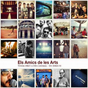 Download track Els Ocells (En Directe) Els Amics De Les Arts