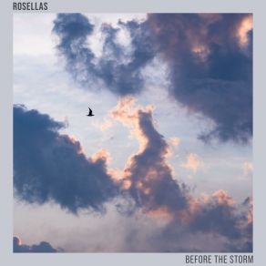 Download track Common Ground (Acoustic) Rosellas