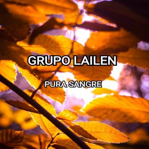 Download track El Perfume De Tu Piel Morena Grupo Lailen