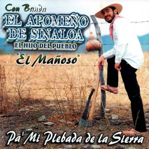 Download track El Olvidado El Apomeño De Sinaloa