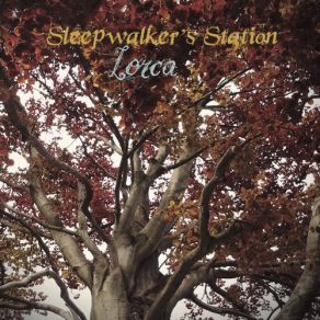 Download track Giorni Sul Lago Sleepwalker's Station