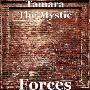 Download track The Haze Tamara The Mystic