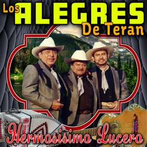 Download track Ramiro Y Miguel Los Alegres De Teran