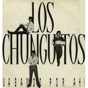 Download track Amor De Segunda Mano Los Chunguitos