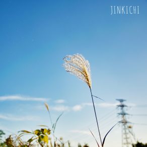 Download track Standing By The Ocean Jinkichi