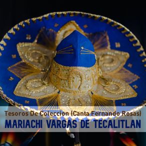 Download track Serenata Tapatia (Serenata) Mariachi Vargas De Tecalitlán