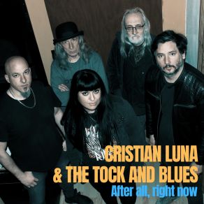 Download track Come Shake It Baby The Blues, Cristian Luna, Tock