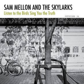 Download track That's When My Country Came Clean Sam Mellon