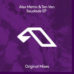 Download track What U Need (Dub Mix - Edit) Alex Metric, Ten Ven