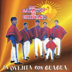 Download track La Ovejita Con Gua Gua Los Gallitos De Chibuleo