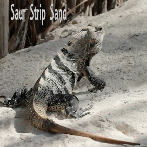 Download track I Feel The Power Saur Strip Sand