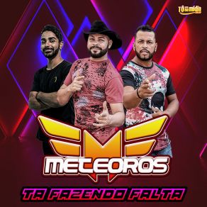 Download track Meu Esporte É Vaquejada Meteoros