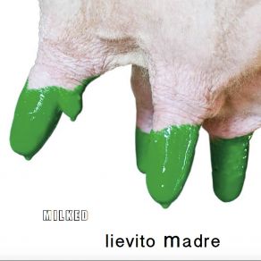 Download track La Musica Non Serve Lievito Madre