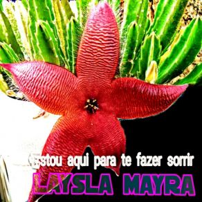 Download track Velho De Guerra Laysla Mayra