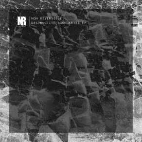 Download track Basalt Non Reversible