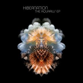 Download track Sympath (The Floasis Chill Mix) HIBERNATION