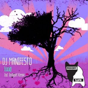 Download track Lucid (Incognet Remix) DJ Manifesto