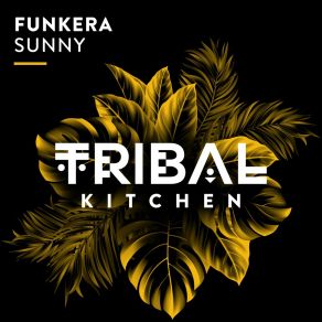 Download track Sunny (Extended Mix) Funkera