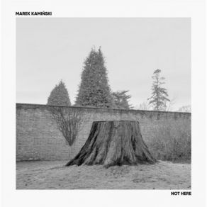 Download track First Glimpse Marek Kamiński