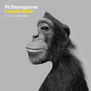 Download track Just A File (Rocksteady Mix) Pit Baumgartner