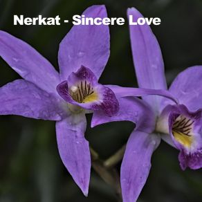 Download track Sincere Love (Original Mix) Nerkat