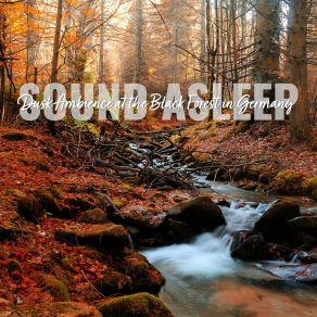 Download track Dusk Ambience At The Black Forest In Germany, Pt. 20 Elijah Wagner