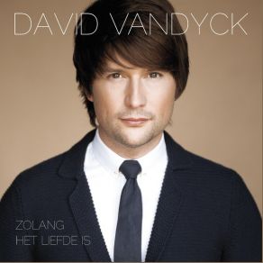 Download track Zolang Het Liefde Is David Vandyck