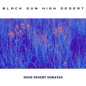 Download track Desert Sky Nocturne High Desert