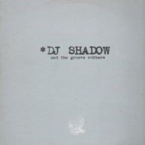 Download track In / Flux Dj Shadow