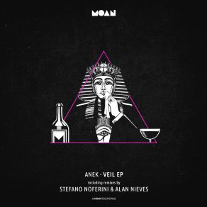 Download track Veil (Original Mix) Anek