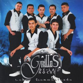 Download track Cuando Estemos Juntos Grillos De La Noche