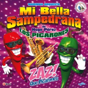 Download track Tropirancheras 17: Volcanes Dormidos / Por Quién Me Dejas / Te Estoy Engañando Con Otra Marimba Orquesta Mi Bella Sampedrana