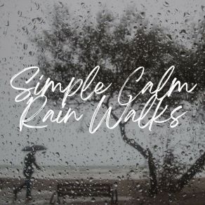 Download track Rain For Village Walks, Pt. 8 Rain Sounds