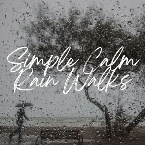 Download track Rain For Village Walks, Pt. 2 Rain Sounds