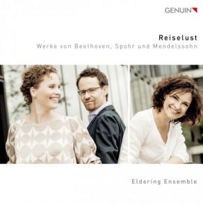 Download track Piano Trio No. 2 In C Minor, Op. 66, MWV Q33: I. Allegro Energico E Con Fuoco Eldering Ensemble