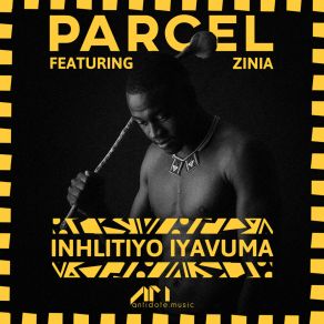 Download track Inhlitiyo Iyavuma (Parcel Dub) Zinia