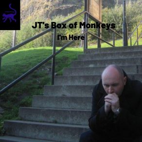 Download track Everybody Wants Me Jt's Box Of Monkeys