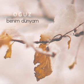 Download track Azmin Gücü Oğuz Yılmaz