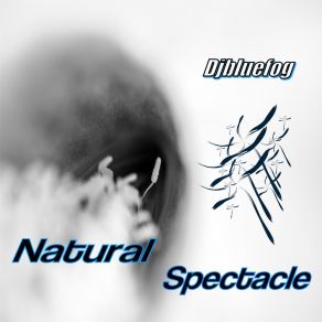 Download track Natural Spectacle (Spezial Long Version) Djbluefog