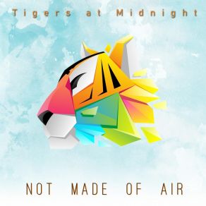 Download track The Beach Tigers At Midnight