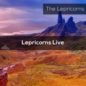 Download track Tin Whistle (Live) Lepricorns