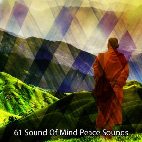 Download track Buddhist State Of Mind Brain Study Music Guys