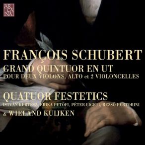 Download track String Quintet In C Major For Two Violins, Viola And Two Celli, Op. 163 D. 956: I. Allegro Ma Non Troppo Wieland Kuijken, Festetics Quartet, Quatuor Festetics