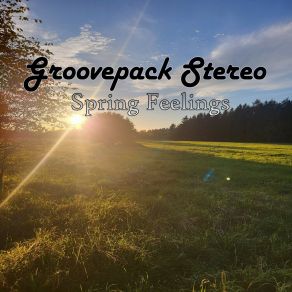 Download track Do What You Want Groovepack Stereo