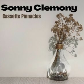 Download track Eligible Sleeplessness Sonny Clemony