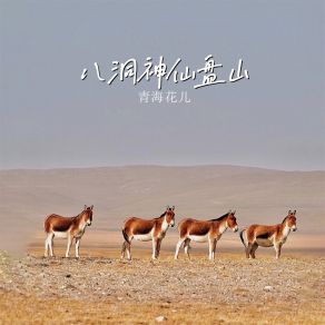 Download track 十二月花果 (海英版) 青海花儿