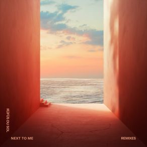 Download track Next To Me (Vintage Culture Remix) RÜFÜS DU SOL