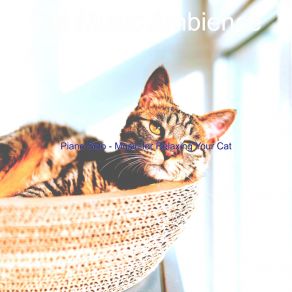 Download track Successful Moods For Relaxing Your Cat Cat Music Ambience